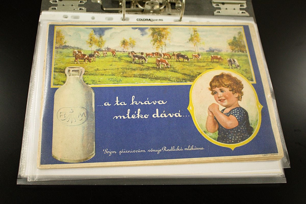 Rytíř Řádu camembertu má sbírku zapomenutých sýrů