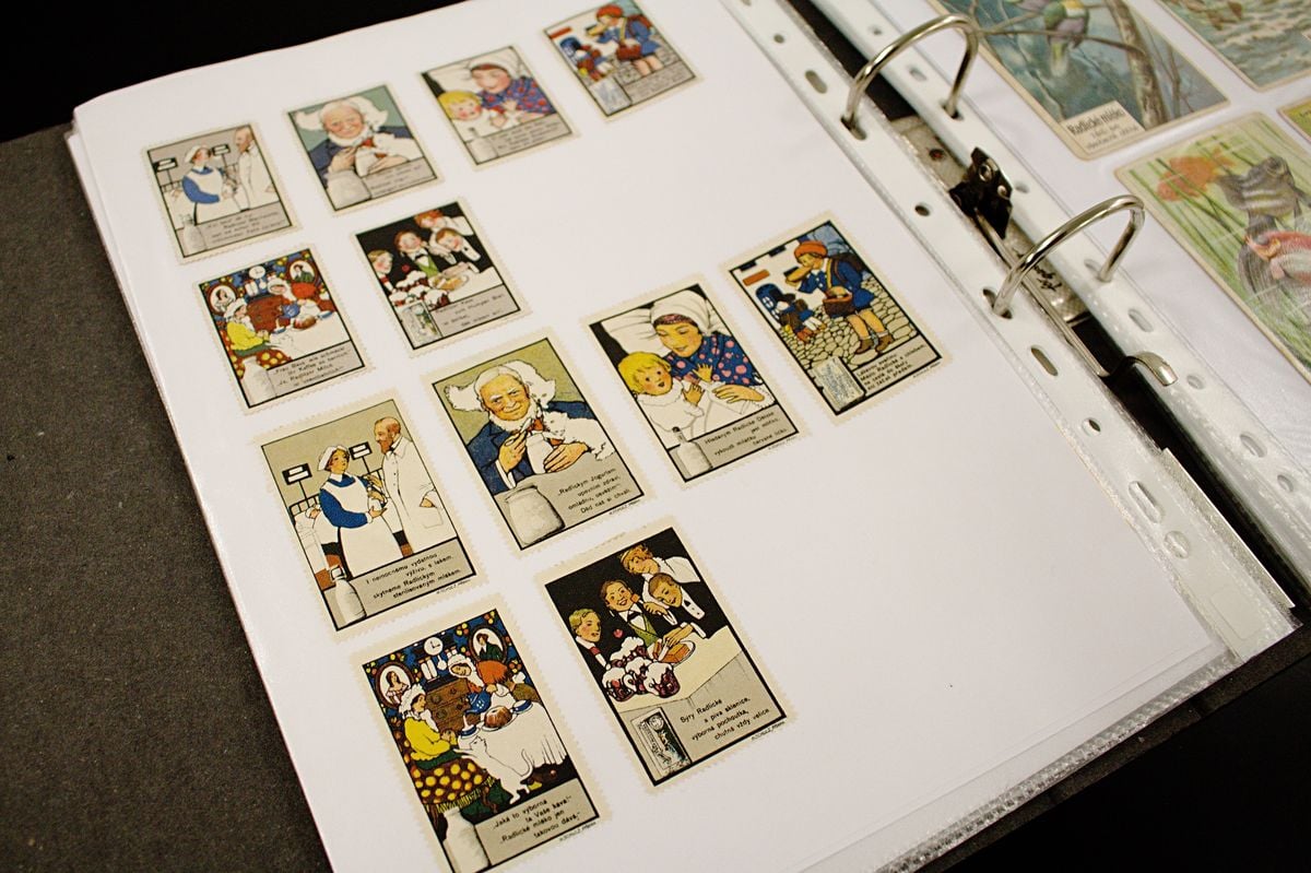 Rytíř Řádu camembertu má sbírku zapomenutých sýrů