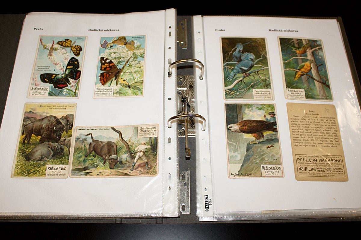 Rytíř Řádu camembertu má sbírku zapomenutých sýrů