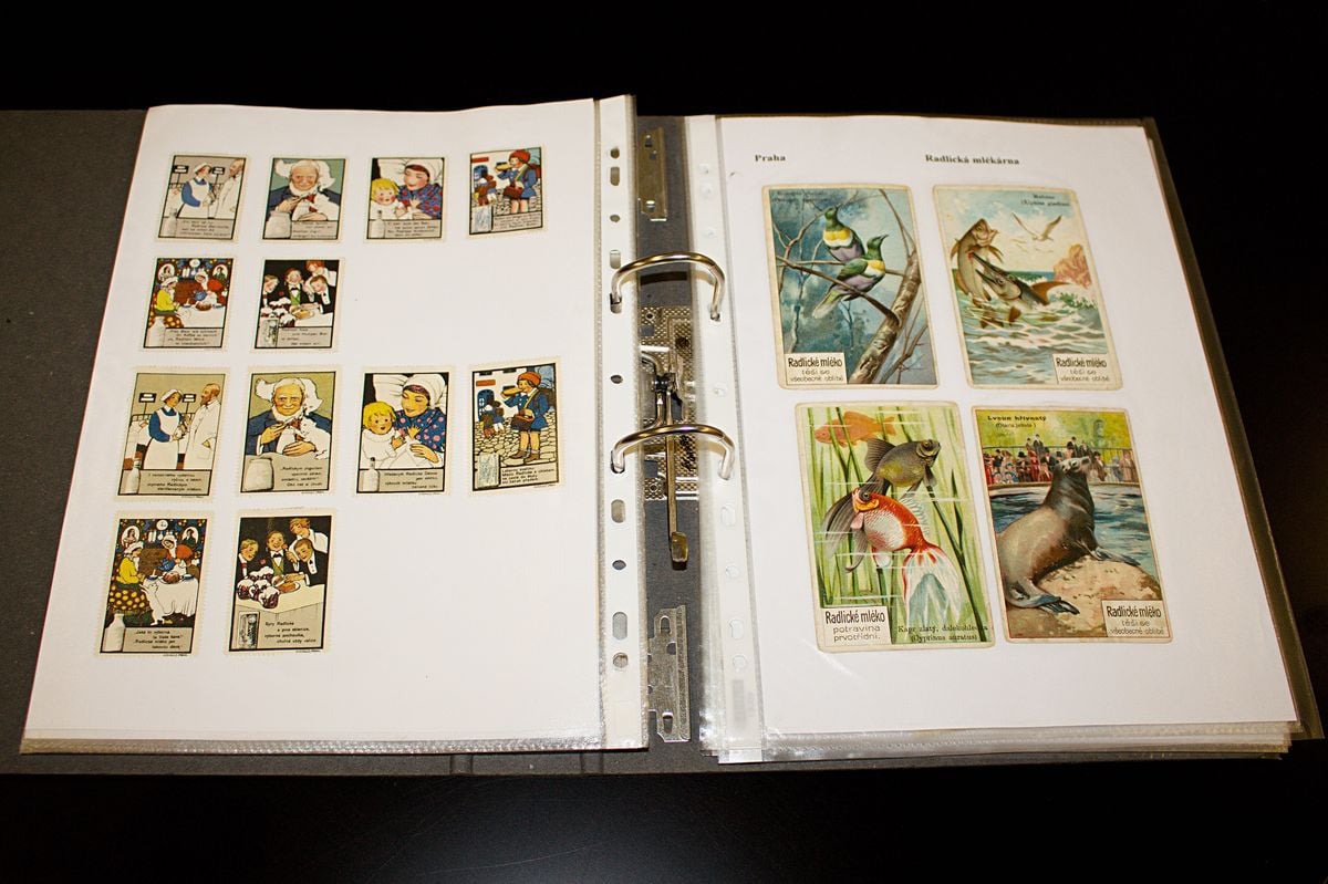 Rytíř Řádu camembertu má sbírku zapomenutých sýrů