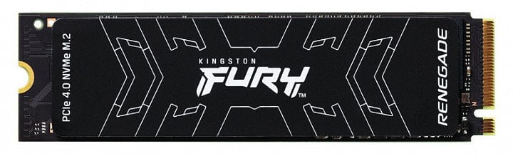 Kingston Fury Renegade