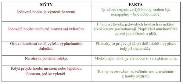 Mýty a fakta o jedovatých houbách