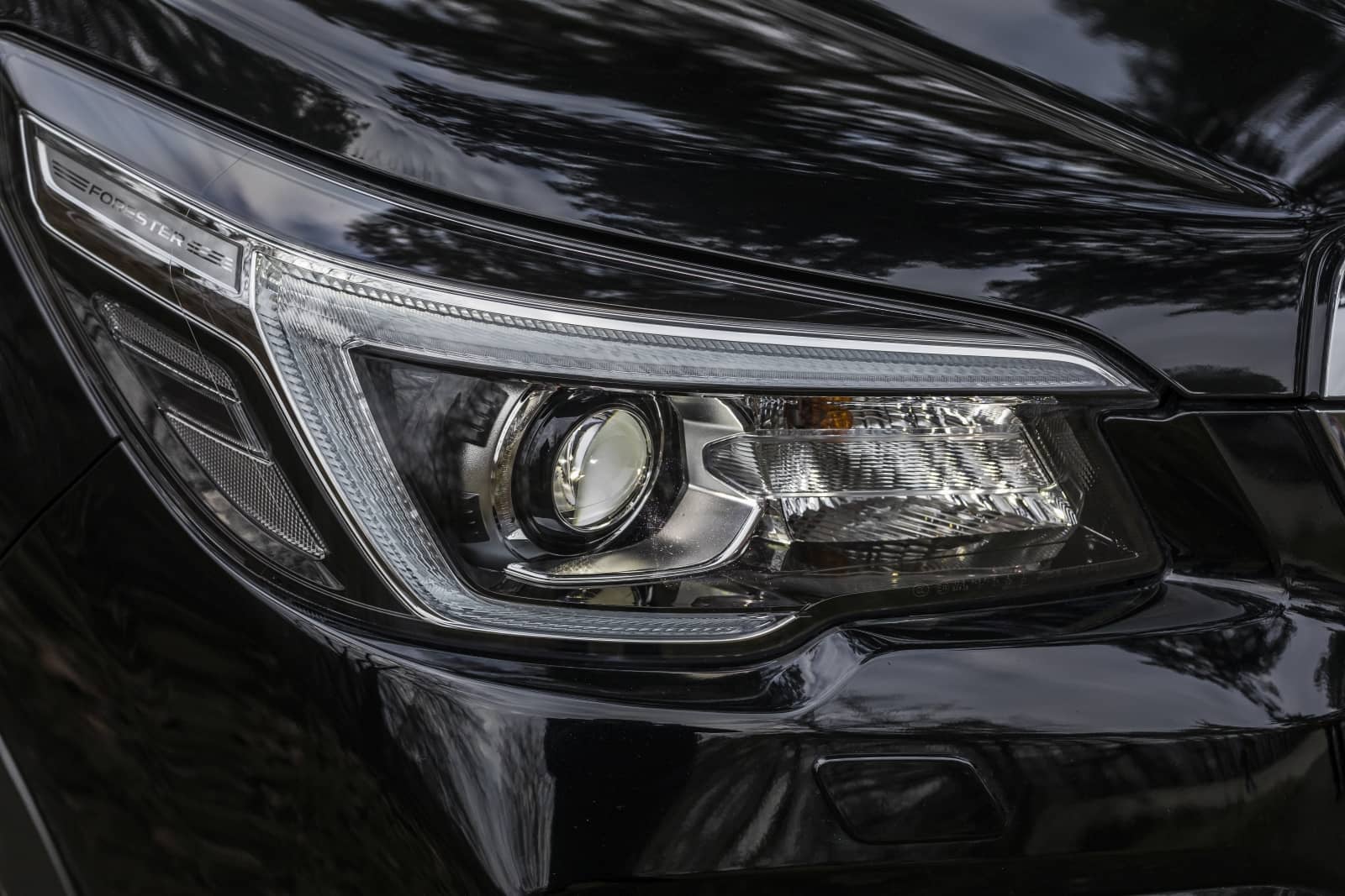 2020-04-aDMB2020_Forester-e-boxer-A7-6548.jpg