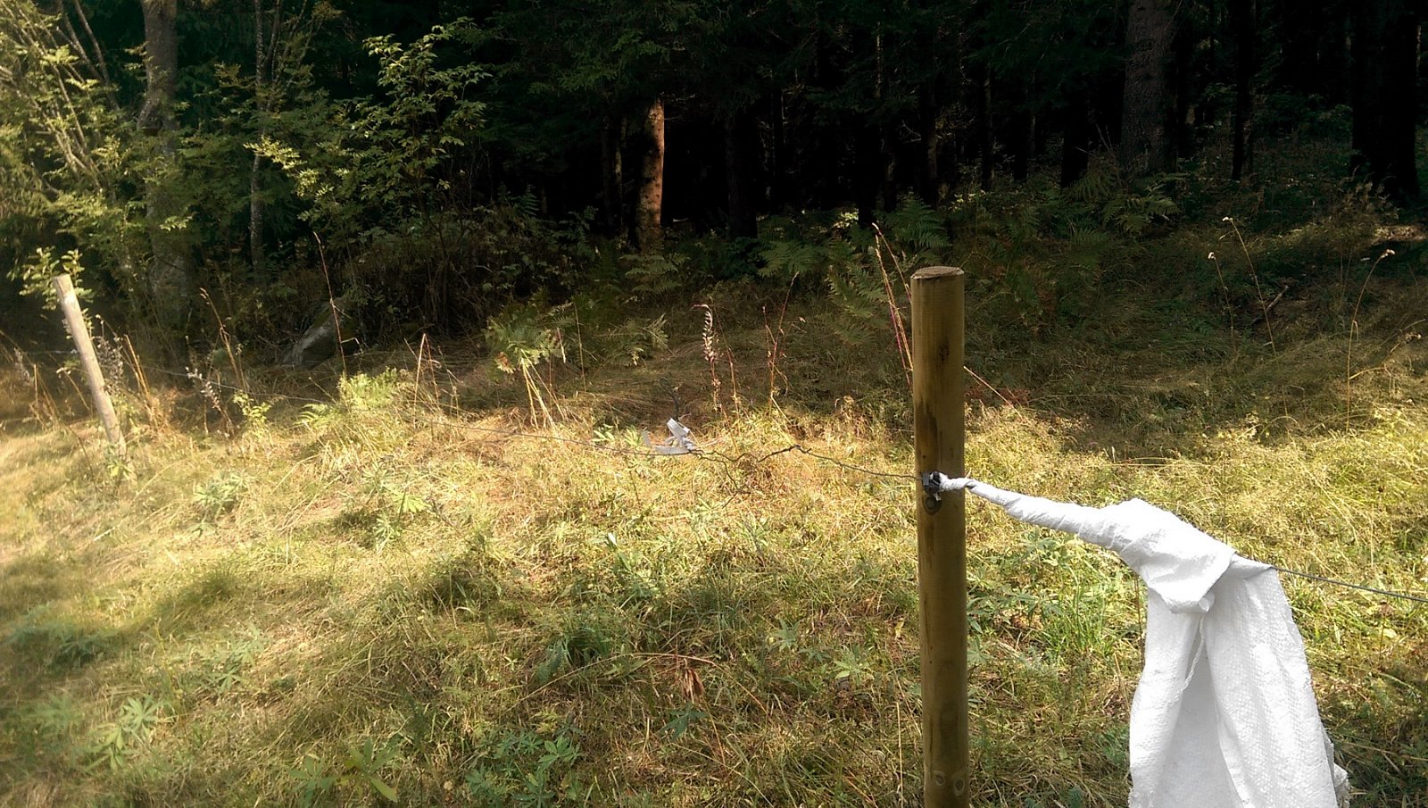 Digitální kartografie na vlastní nohy