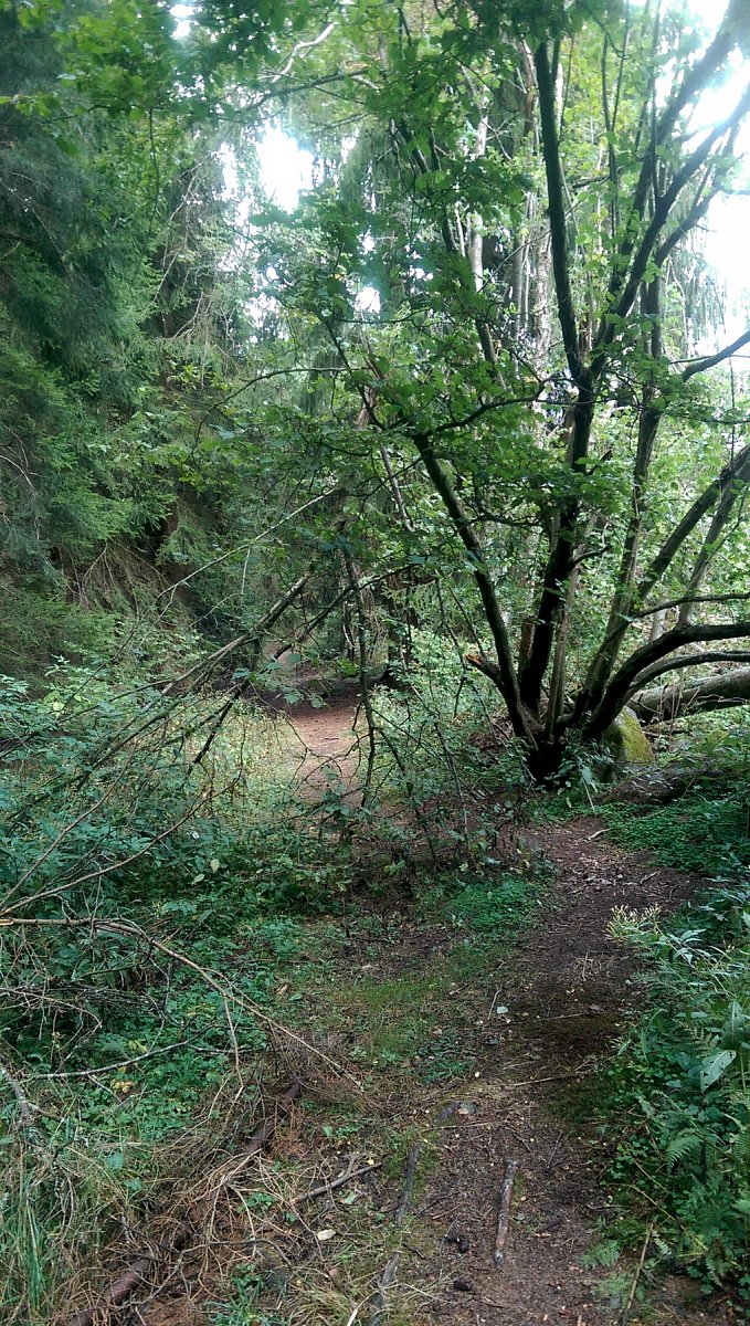 Digitální kartografie na vlastní nohy