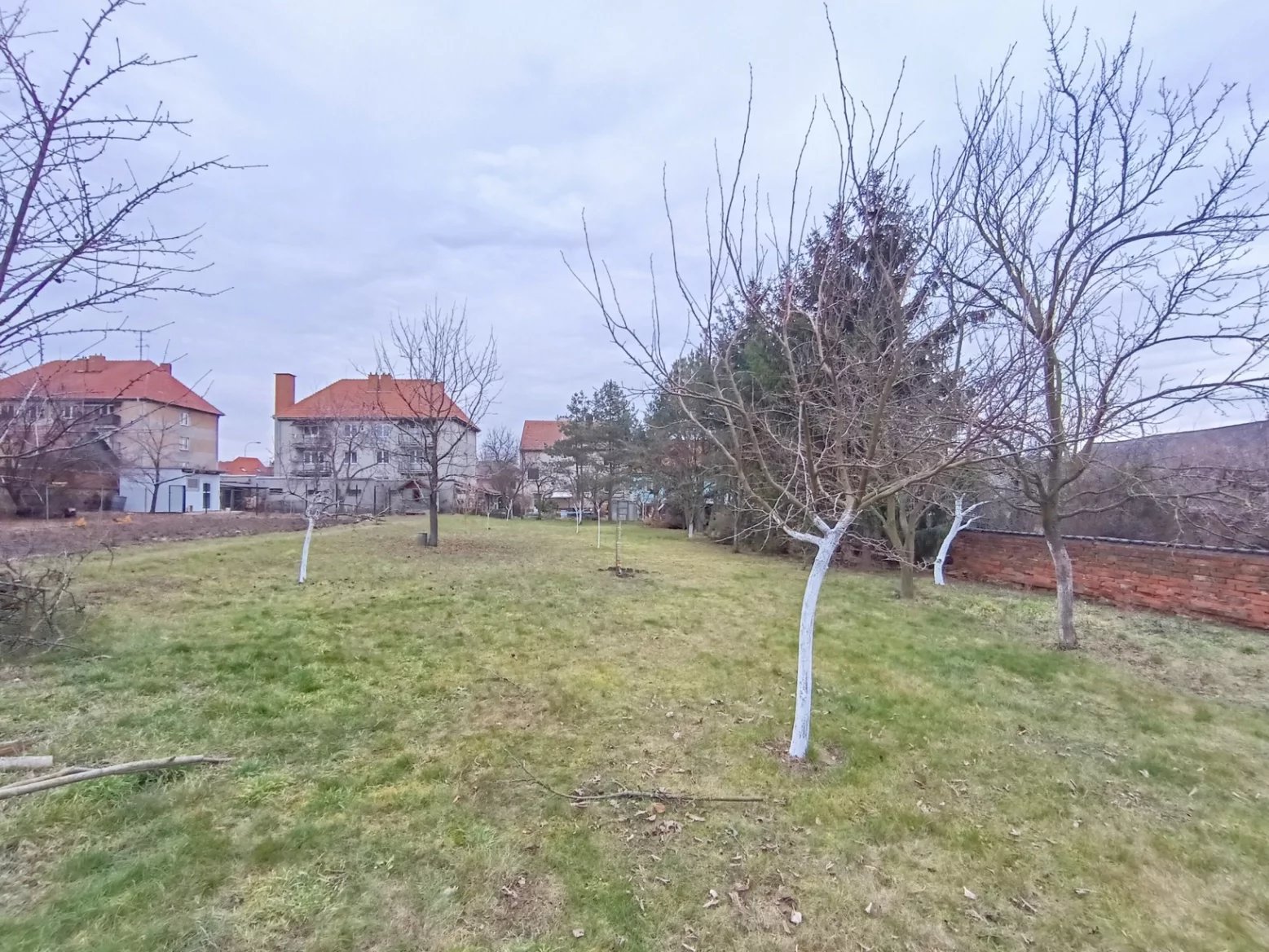 TCL 50 PRO NTXPAPER 5G