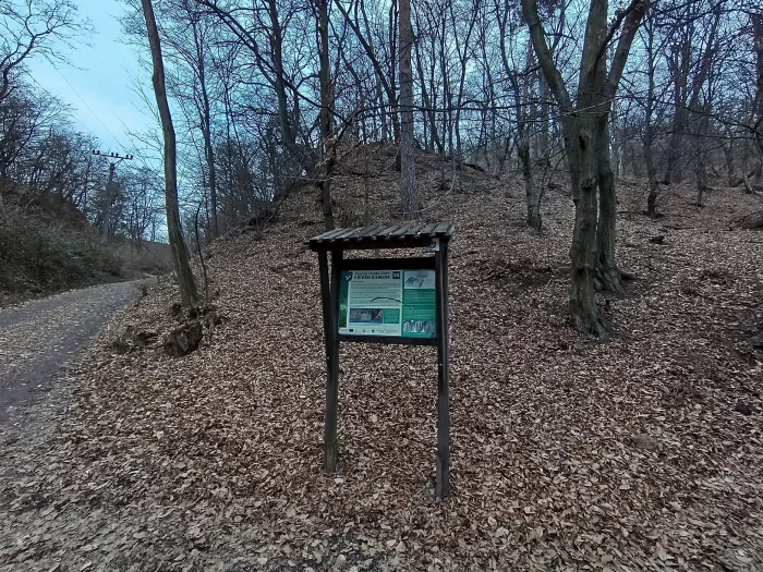 Ultraširokoúhlý 8Mpx fotoaparát