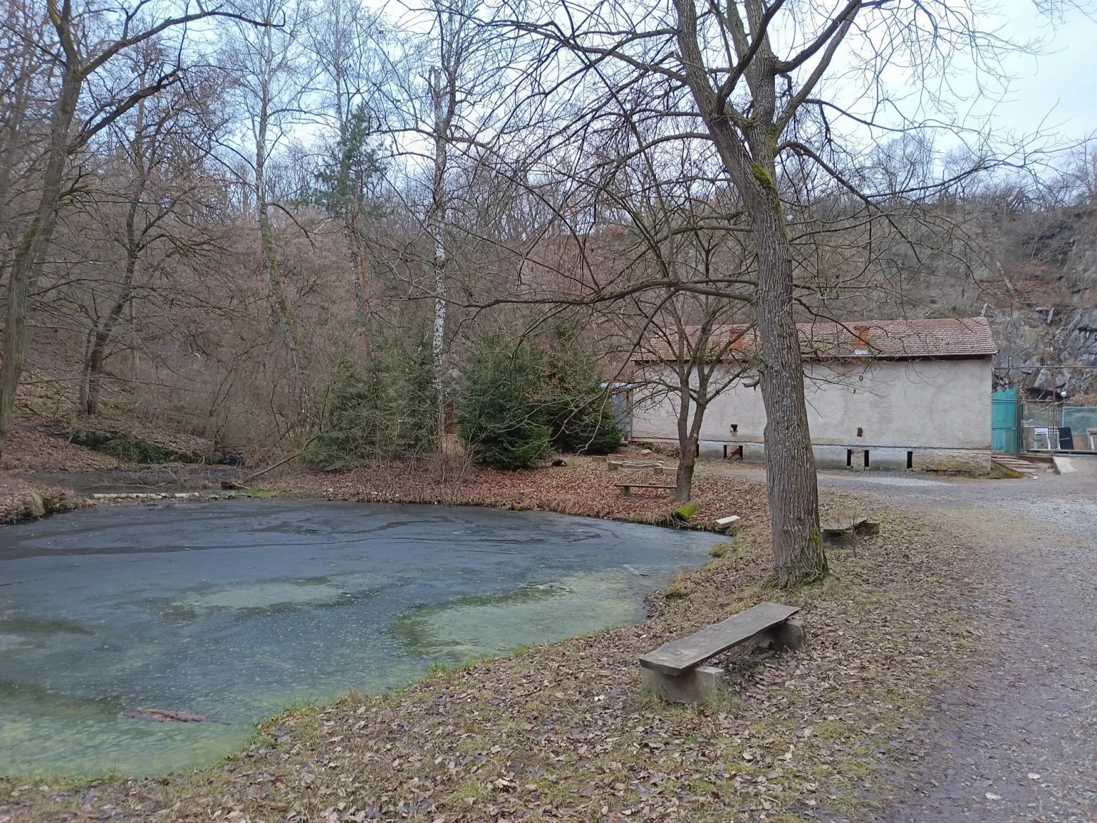 TCL 50 PRO NTXPAPER 5G