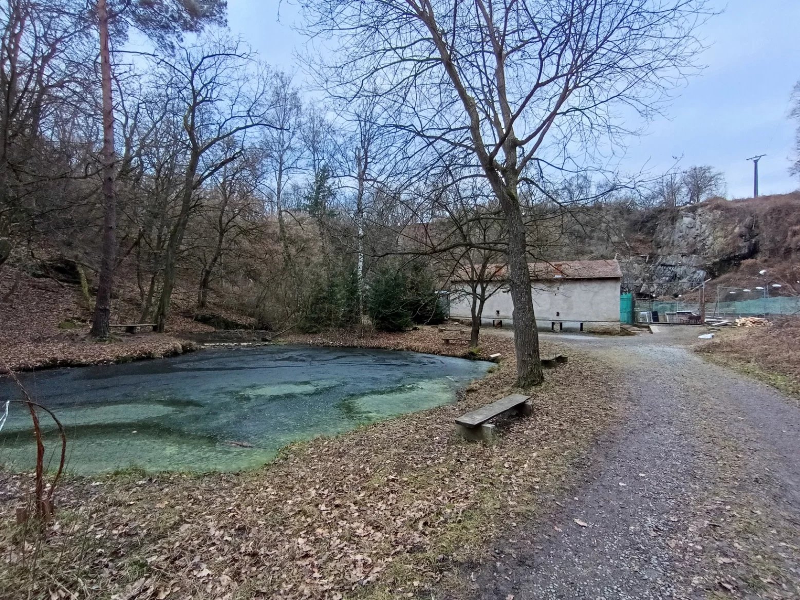 TCL 50 PRO NTXPAPER 5G