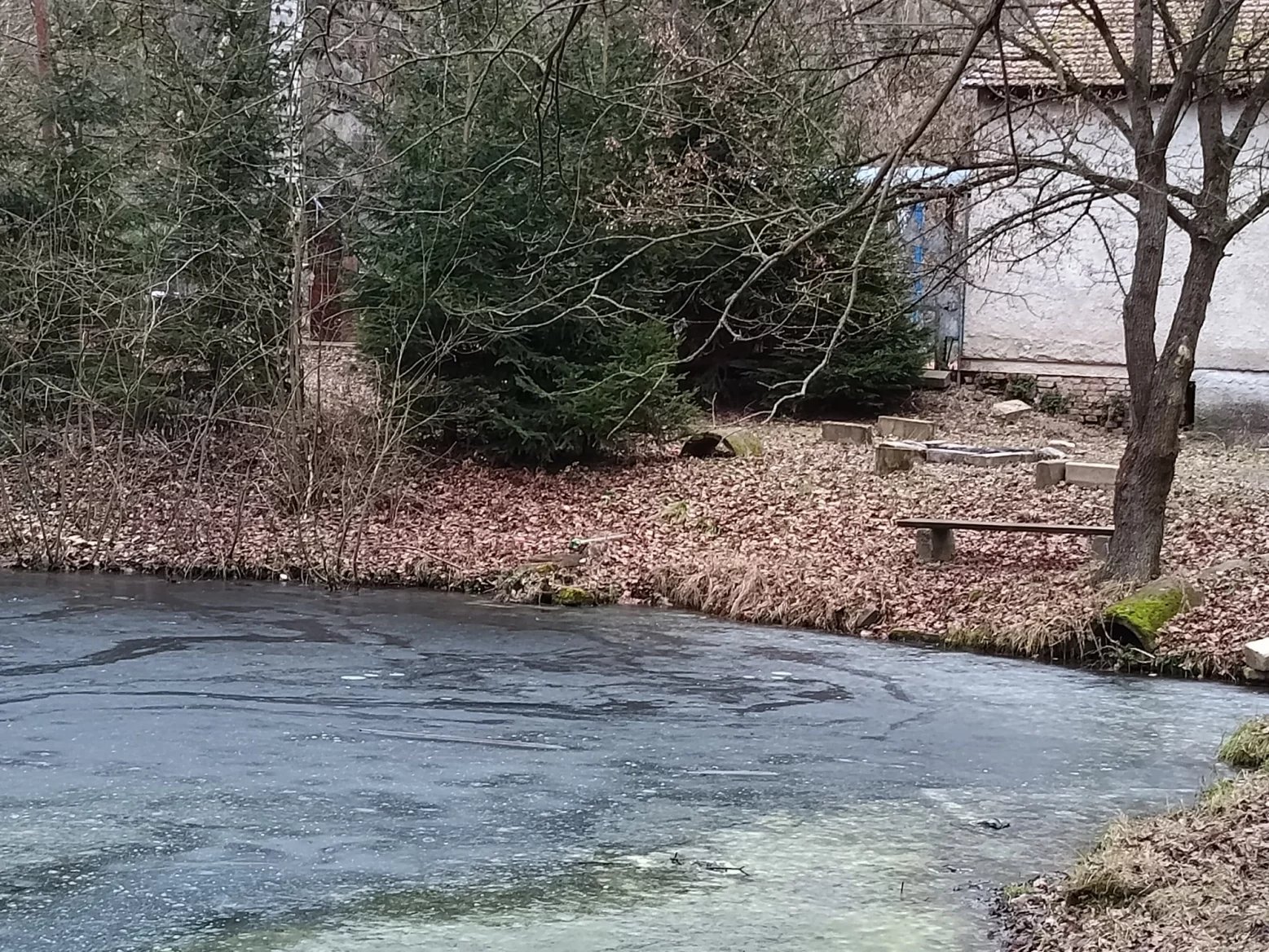 TCL 50 PRO NTXPAPER 5G