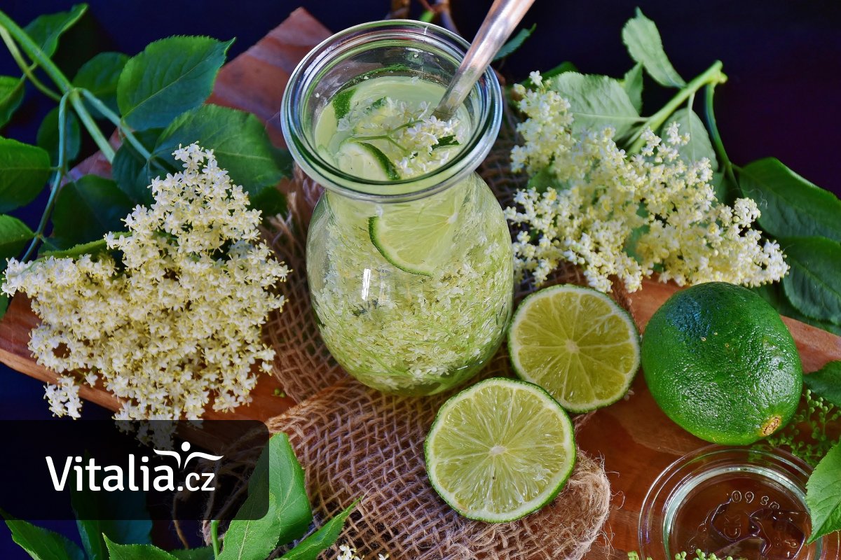 Blíží se sezóna černého bezu. Z květů si snadno připravíte domácí bezový sirup