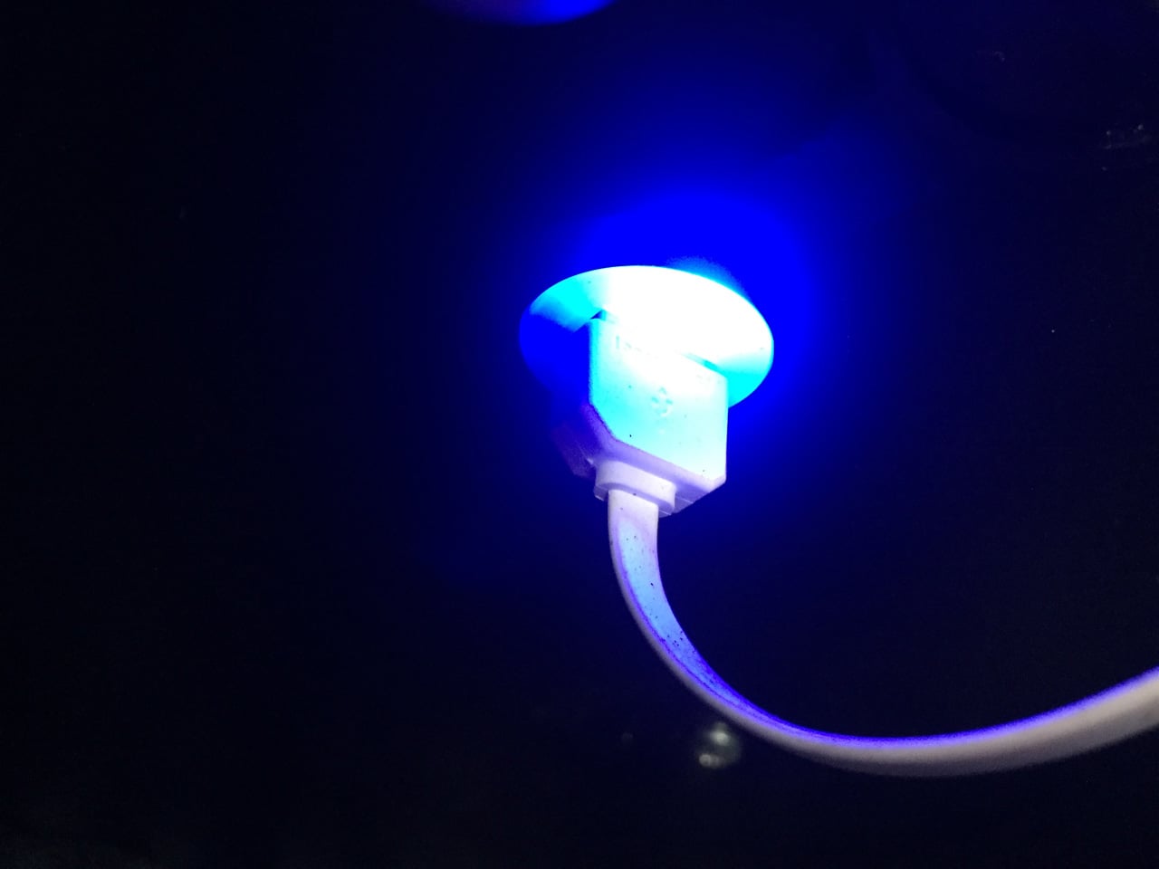 Chytrá kadibudka v Praze v Dejvicích