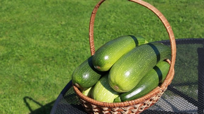 Cuketa recept: můžete ji nastrouhat do bramboráků i sladké buchty. Zdravá zelenina má opravdu pestré využití