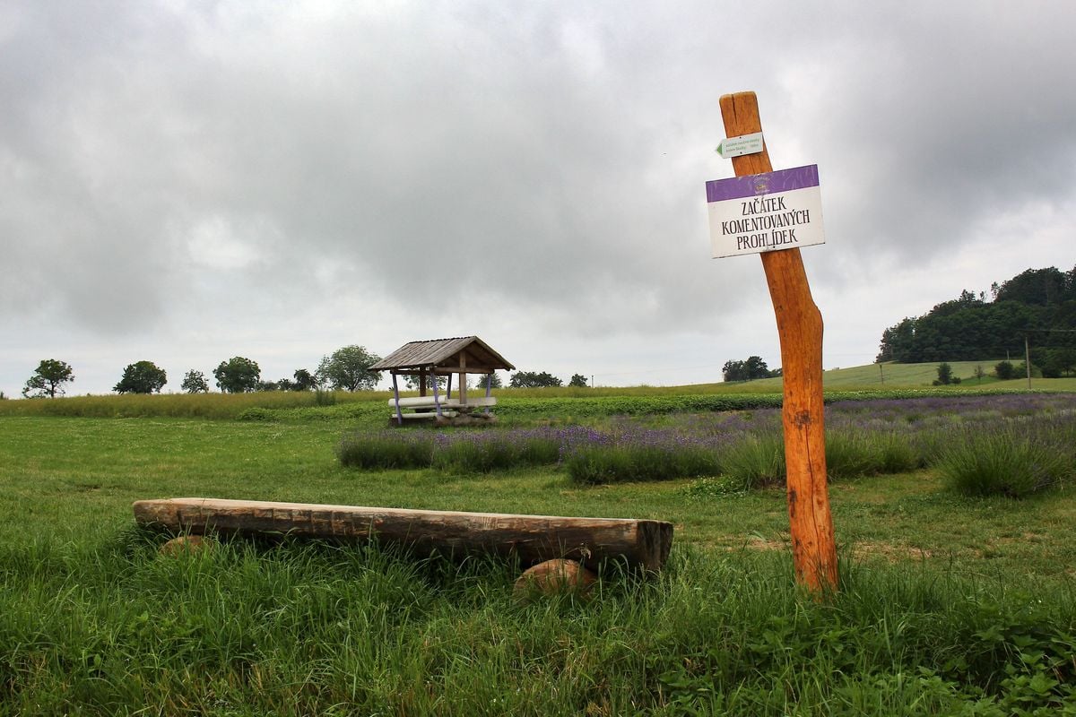 Levandulový statek Bezděkov