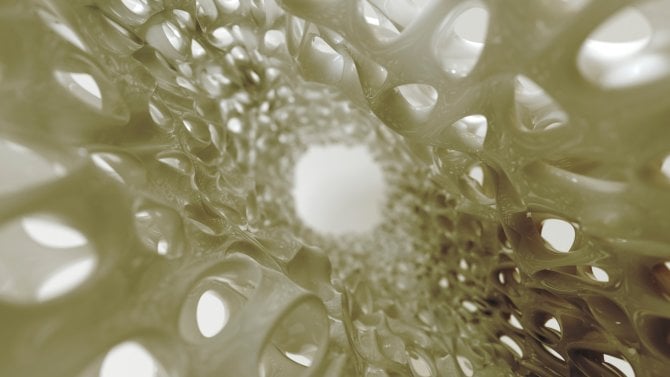 Konec křehkých kostí? Vědci objevili mechanismus, který by v budoucnu mohl pomoci zvrátit osteoporózu