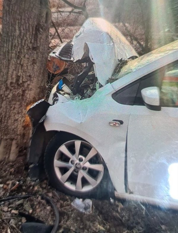 Detail přední části osobního vozu, které narazilo do stromu