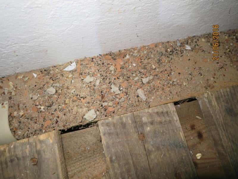 Karlova pekárna s.r.o., Židlochovice -  Výskyt myšího trusu, výskyt hmyzích škůdců, provozovna nezabezpečená před pronikáním škůdců, výskyt plísní na provozovně, výrazně zanedbaný úklid, výrazné znečištění všech prostor, nečistoty na stěnách, nečistoty na podlaze
nečistoty na regálech či zařízeních