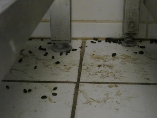 SZPI uzavřela slavné pražské lahůdkářství Jan Paukert.