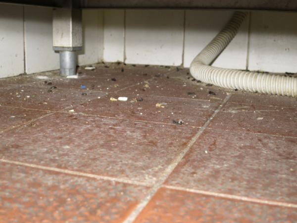 SZPI uzavřela slavné pražské lahůdkářství Jan Paukert.