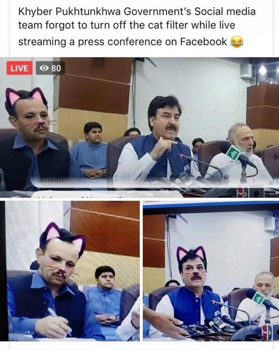 2019-06-Cat-filter-Pakistan-1.jpg