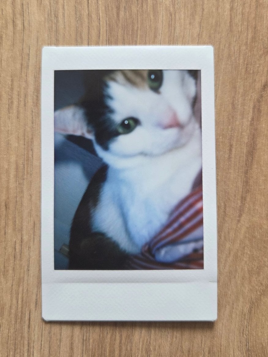 Fotky vyfocené Instax mini 13