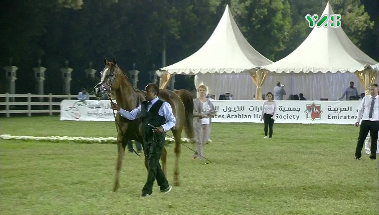 Nové satelitní FTA kanály 29.-30. týden roku 2018