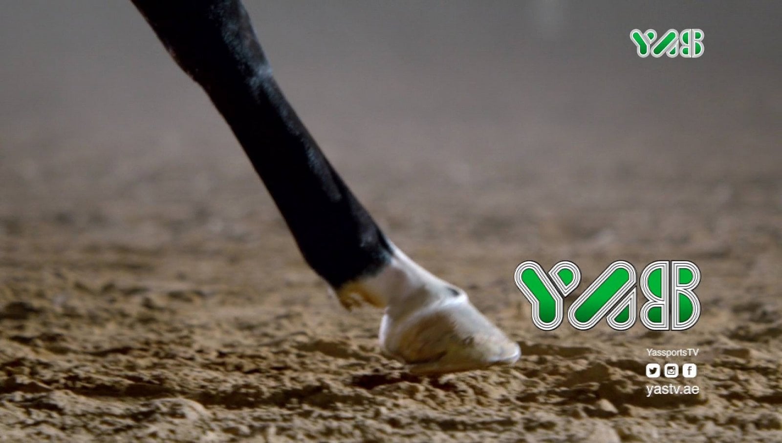 Nové satelitní FTA kanály 29.-30. týden roku 2018