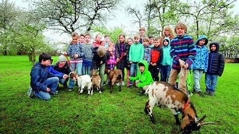 Náhledový obrázek - Inovativní základní školy boří stereotypy