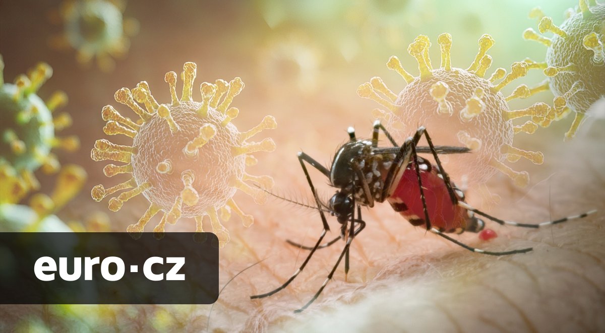 Nadějný pokrok v boji proti malárii. Vědci pracují na genetických úpravách komárů, které by mohly smrtelnou nemoc zcela vymýtit