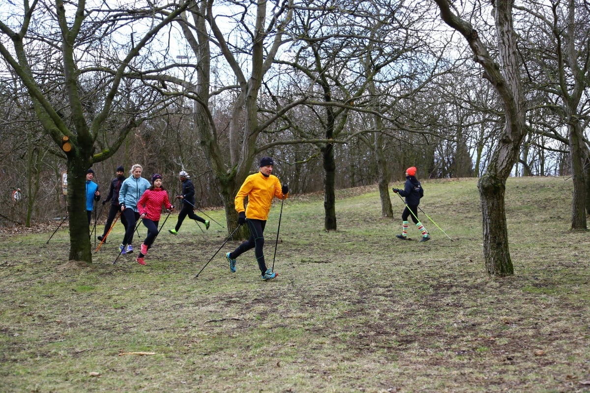 Nordic running