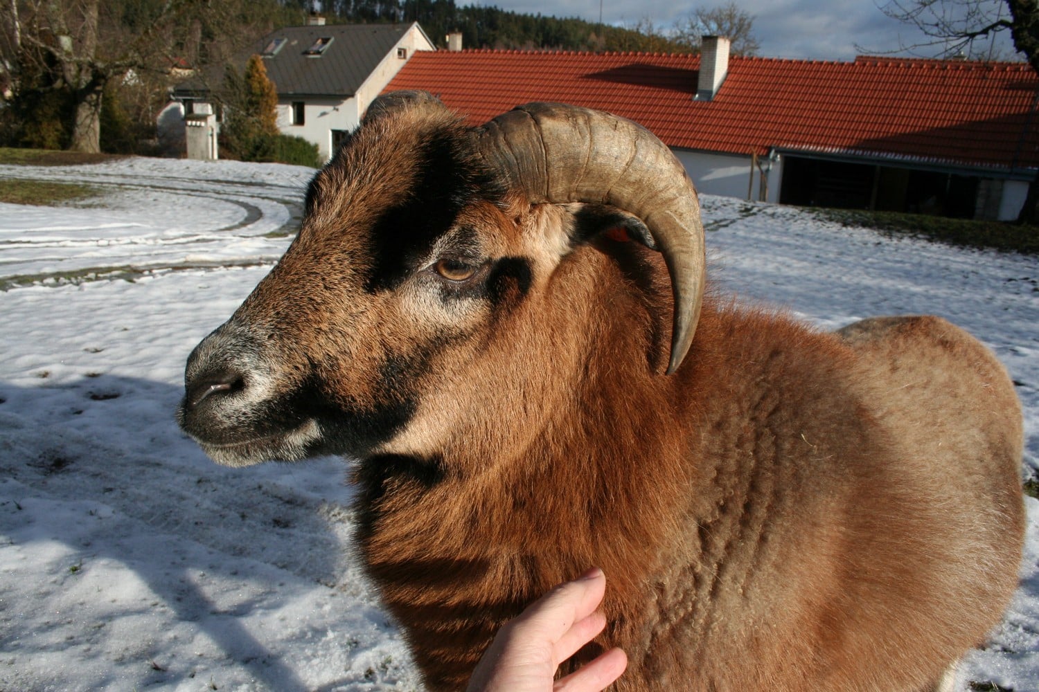 Agroturistika láká hlavně rodiny. Nahlédněte