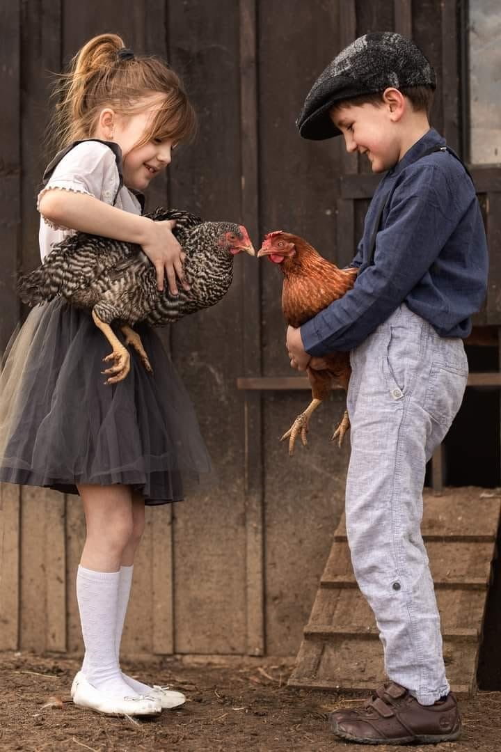 Agroturistika láká hlavně rodiny. Nahlédněte