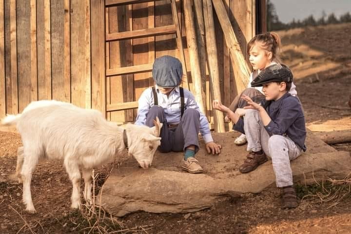 Agroturistika láká hlavně rodiny. Nahlédněte