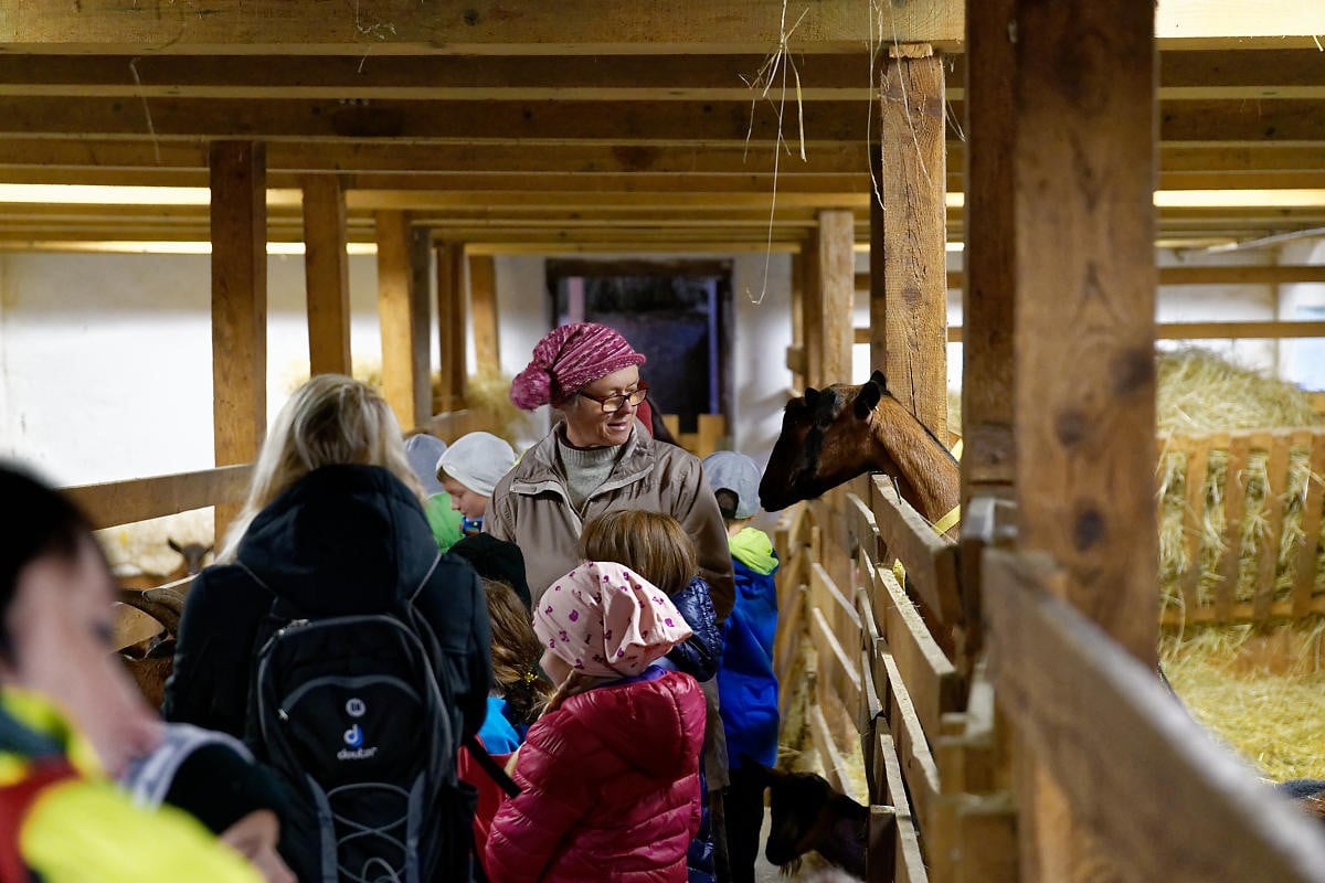 Agroturistika láká hlavně rodiny. Nahlédněte