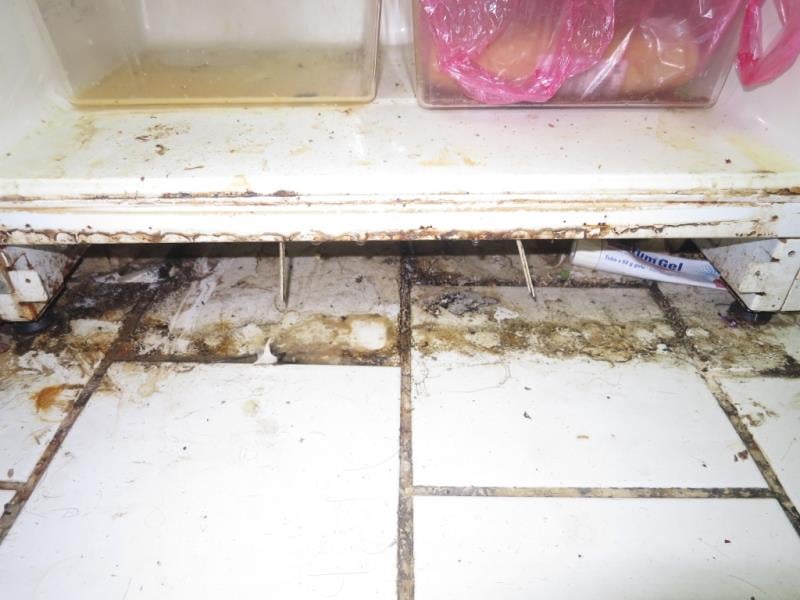 Petr Musil, Restaurace Kaňka, Praha 10, uzavřena pouze část provozovny – kuchyň. Zjištěné skutečnosti: Špatné hygienické podmínky na toaletách, výskyt plísní v chladicích zařízeních , výrazně zanedbaný úklid, znečištěné kuchyňské náčiní, hromadění odpadů, výrazné znečištění všech prostor ad.