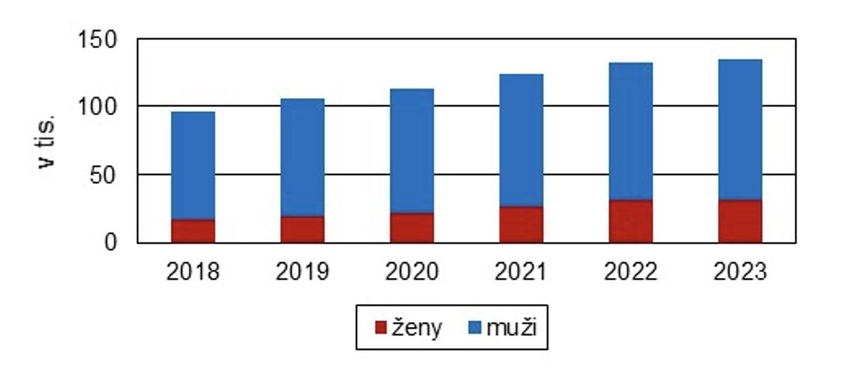 Držitelé platného řidičského průkazu ve věku 80 a více