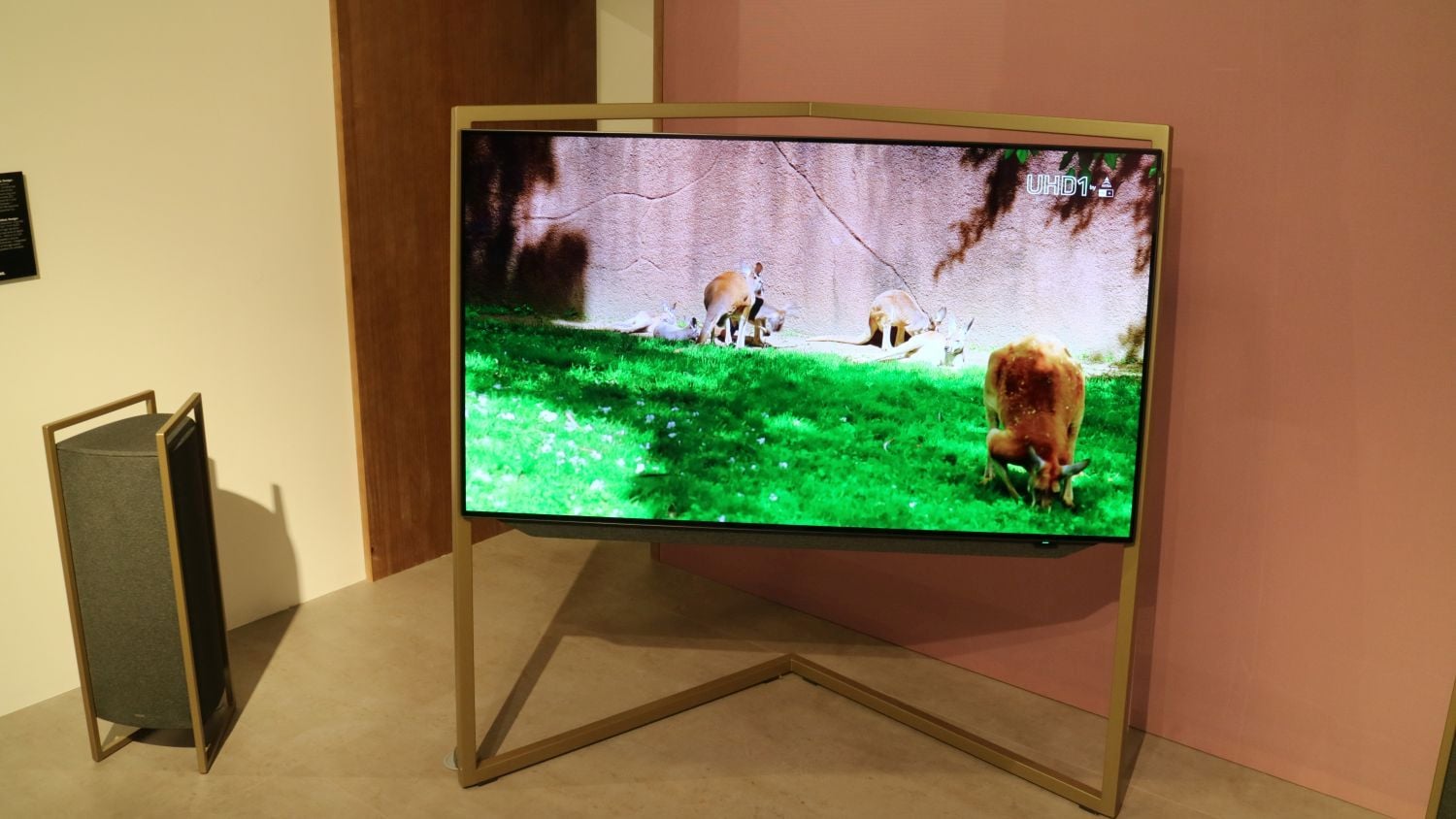 IFA 2017 - televizory (kompletní galerie)