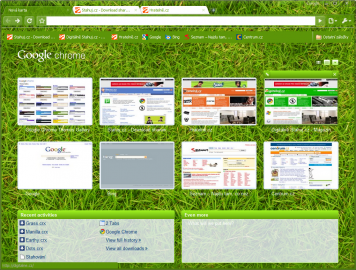 <p>Ke stažení <a href="https://tools.google.com/chrome/intl/en/themes/theme_grass.html">zde</a></p>