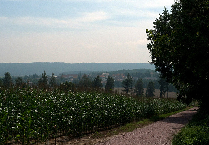 Výlet Miletín