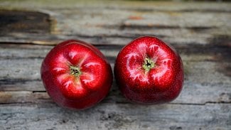 Náhledový obrázek - Dieta s jablečným octem