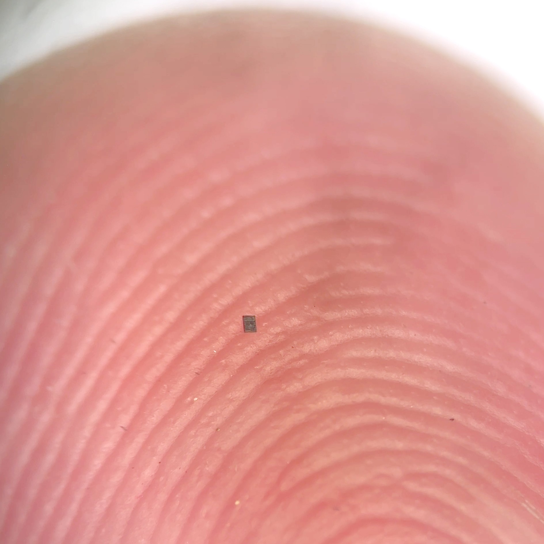 Miniroboti jsou menší než zrno soli