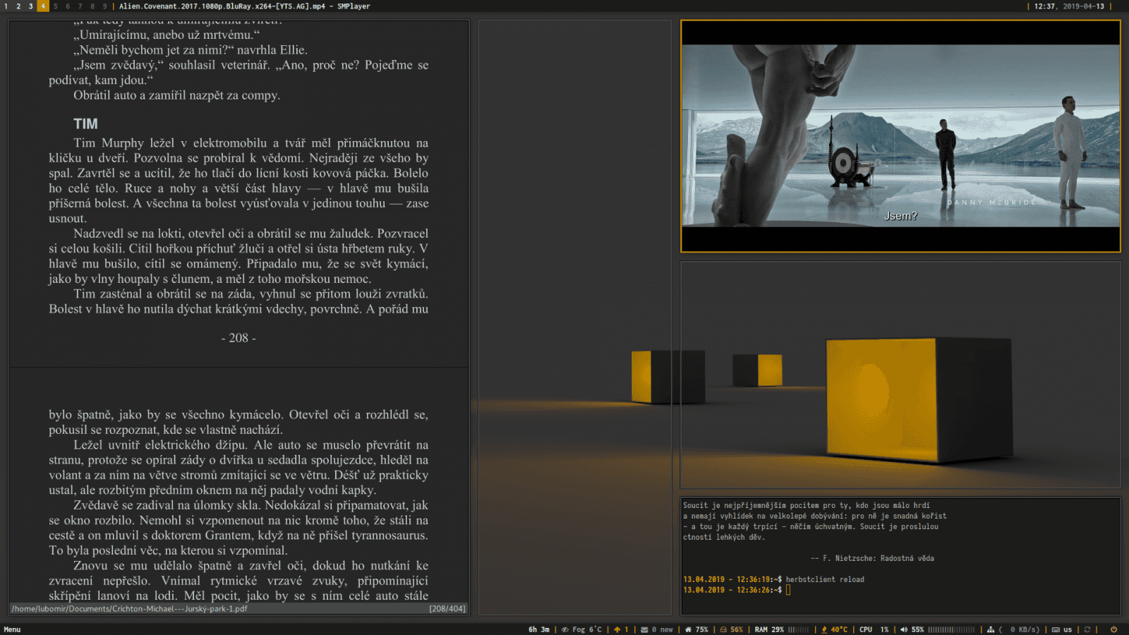 Okenný manažér je Herbstluftwm. Horný panel Dzen2, dolný panel Polybar. Aplikácie: Zathura pdf reader, SMPlayer a URXVT.<br />
Panel Polybar obsahuje moduly (okrem tých jednoznačných) ako updater (po kliknutí prebehne aktualizácia), uptime, menu (rofi menu), reload (znovunačíta konfiguráciu polybaru), power menu (rofi), network dmenu.