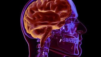 Náhledový obrázek - Neurologové v Plzni zjišťují epilepsii neinvazivní monitorací