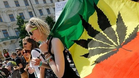 Náhledový obrázek - Piráti: Legalizace konopí přinese státu 3,2 miliardy ročně