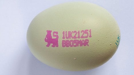 Náhledový obrázek - Nakupujte bílá vejce. Jsou od hodných slepic, vyzvali producenti vajec Brity