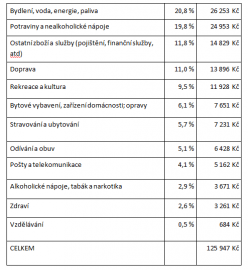 Kolik peněz utratí Češi ročně za jednotlivé položky?