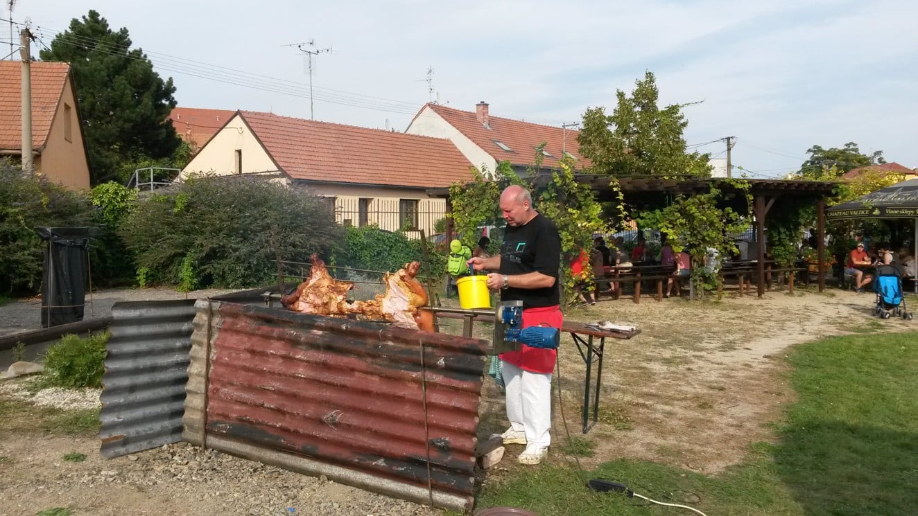 Slavnosti vína ve Valticích nabídly i burčák