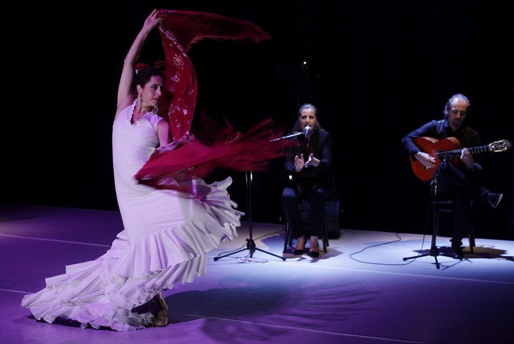 2015-04-flamenco.jpg