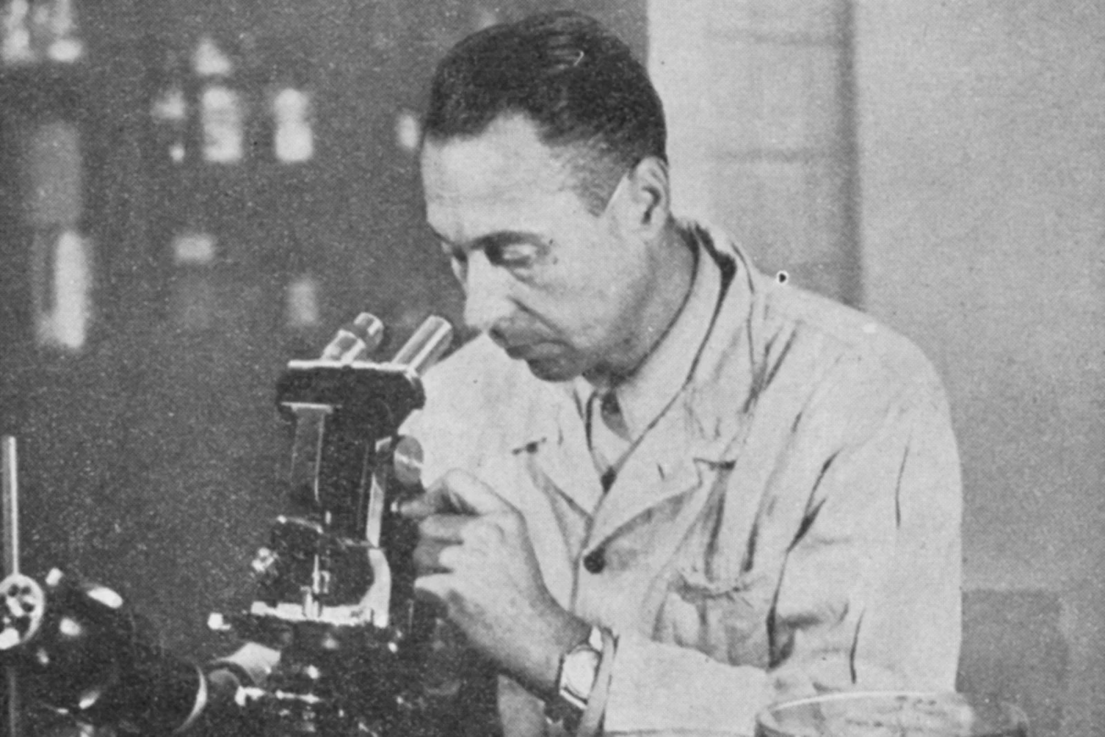 Prvním ředitelem penicilinky, později Výzkumného ústavu antibiotik (VÚAB) se stal docent Miloš Herold.