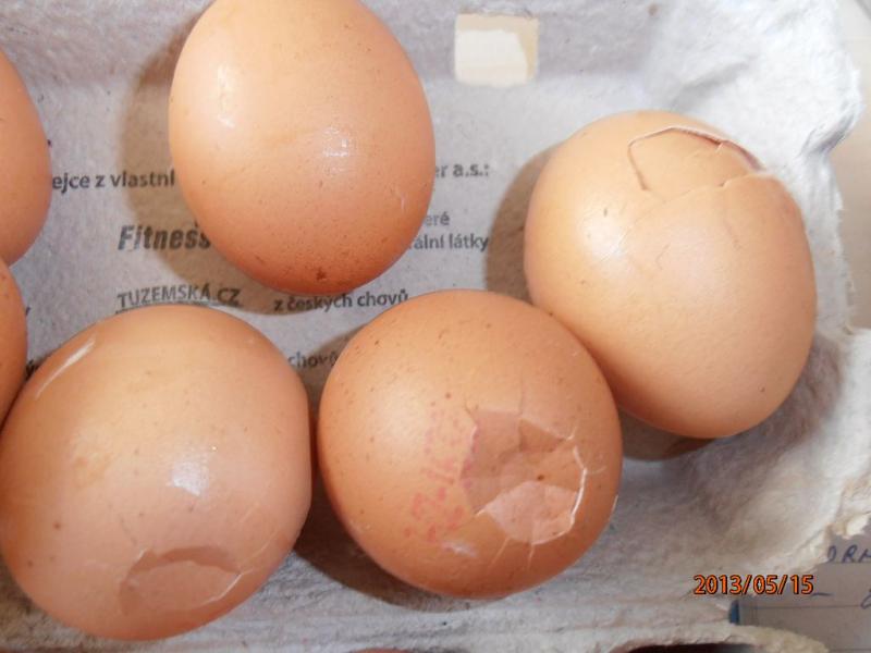 Někdy i více než polovina vajec v balení měla poškozenou nebo špinavou skořápku
